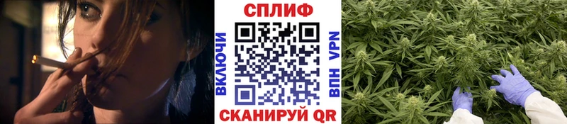 Каннабис VHQ  мега маркетплейс  Пойковский 